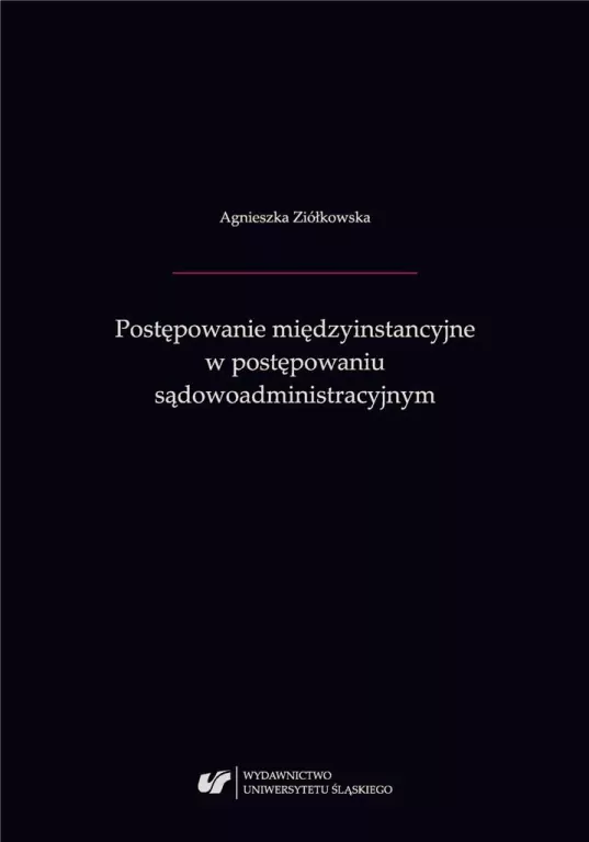 Postępowanie międzyinstancyjne w postępowaniu sądowoadministracyjnym - tantis.pl