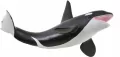Orka - tantis.pl