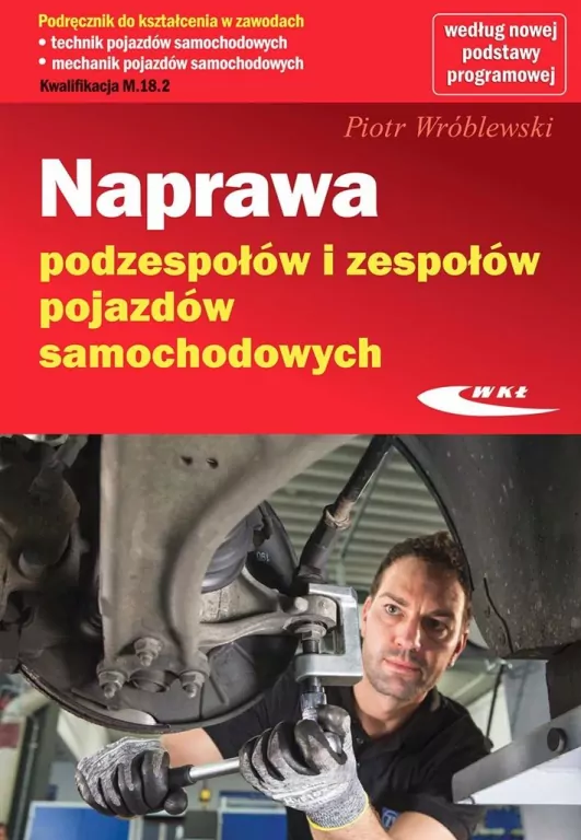 Naprawa podzespołów i zespołów pojazdów samochodowych - tantis.pl
