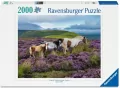 Puzzle 2000 Wild Horses in the Heather - tantis.pl