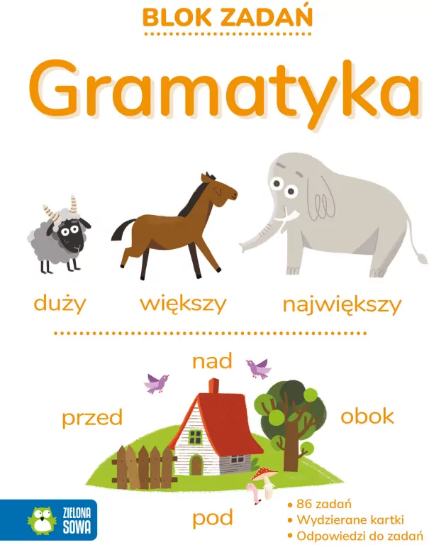 Blok zadań. Gramatyka 9+ - tantis.pl