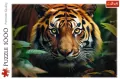 Trefl. Puzzle 1000. Dziki Tygrys - tantis.pl
