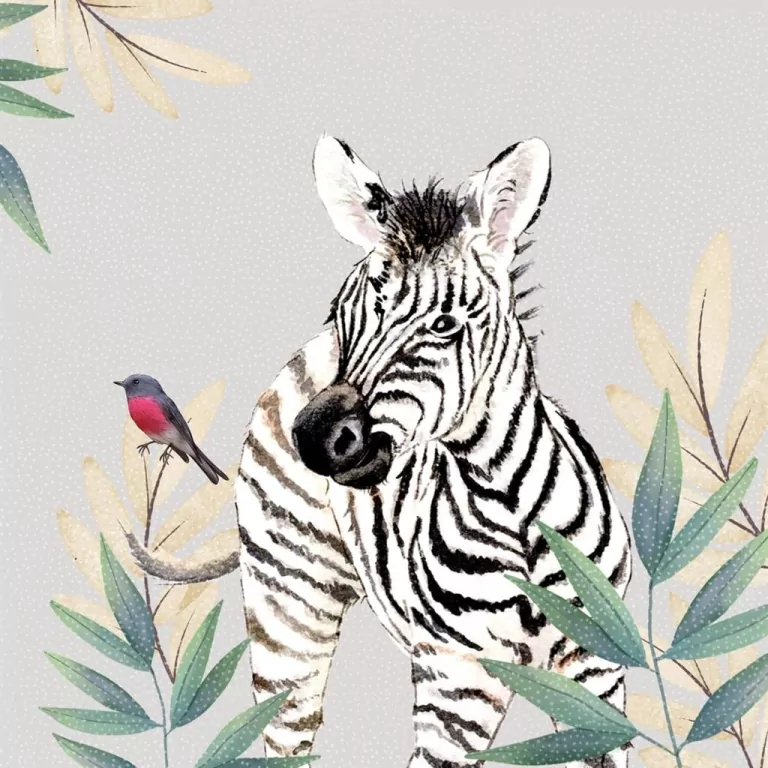 Karnet Swarovski kwadrat CL4711 Zebra - tantis.pl