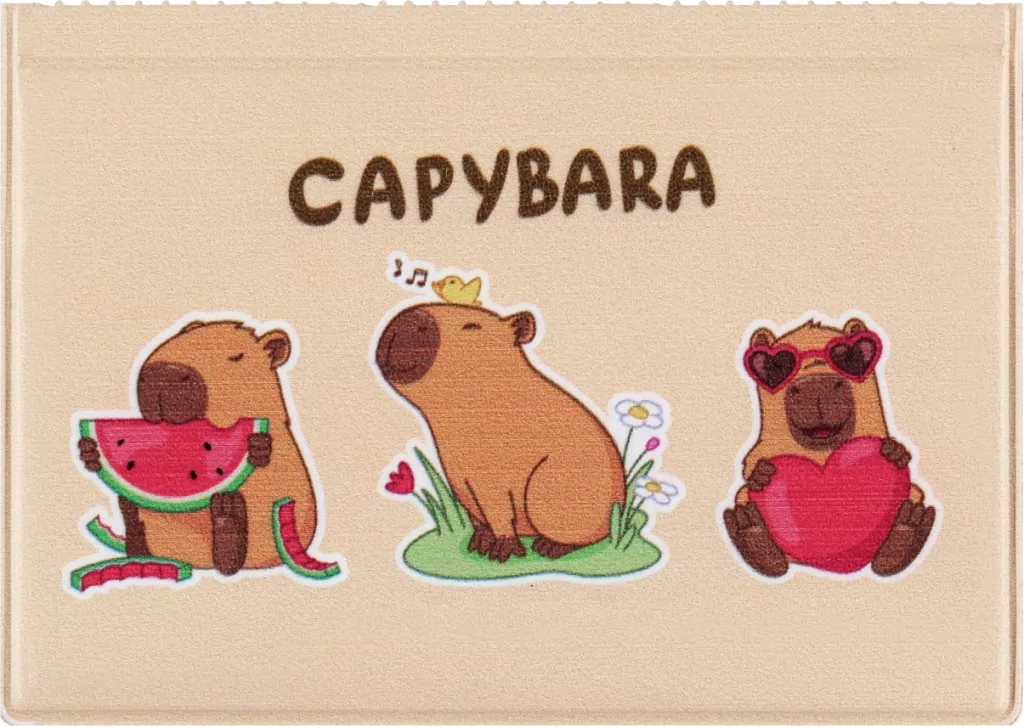 OKLADKA NA DOKUM UCZNIA NOWE KAPIBARA3 KM PLASTI - tantis.pl