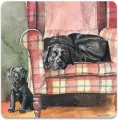 Magnes FM247 Psy Sophie&Scarlett - tantis.pl