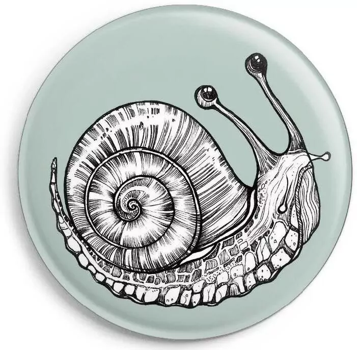 Magnes Ślimak - tantis.pl