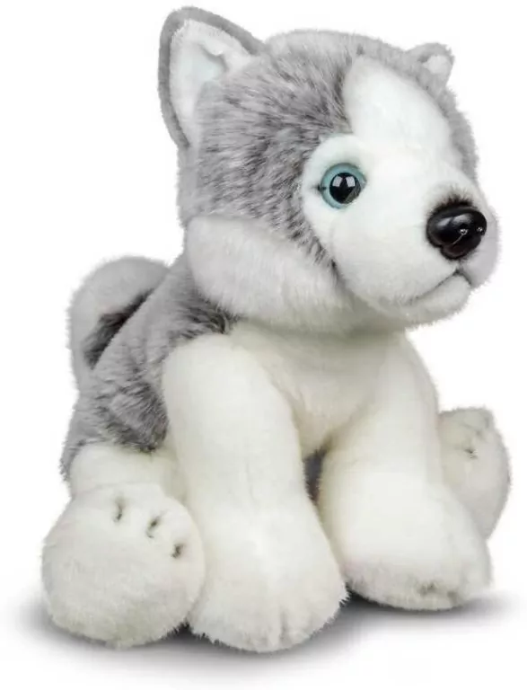 Pluszowy Husky - tantis.pl