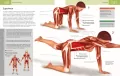 Anatomia ruchu - tantis.pl
