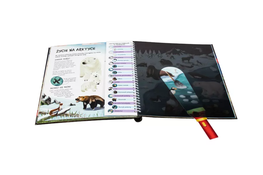 Zwierzęta nocą. Nocne safari z latarką w ręku - dla śmiałych odkrywców! - tantis.pl