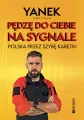 Pędzę do Ciebie na sygnale. Polska przez szybę... - tantis.pl