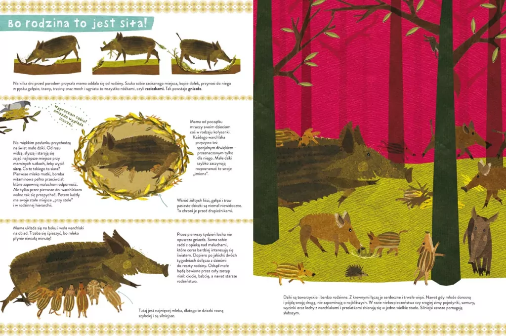 Dzika książka o dzikach i o ich kuzynach - tantis.pl