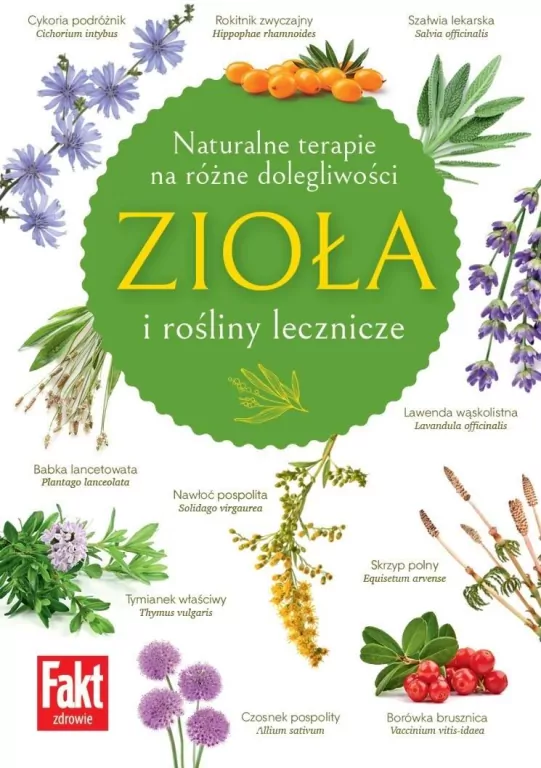 Zioła i rośliny lecznicze - tantis.pl