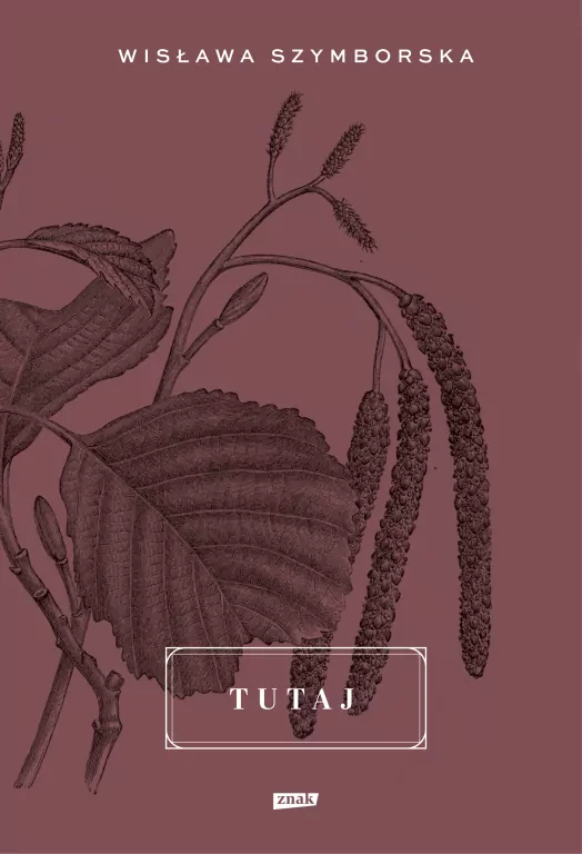 Tutaj - tantis.pl