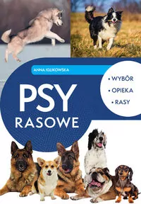 Psy rasowe - tantis.pl