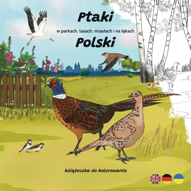 Ptaki w parkach, lasach, miastach i na łąkach... - tantis.pl