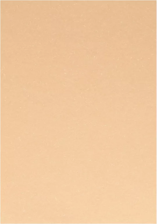 KARTON OZD A4 BEZ 220G WOOD GAL PAP FOL OP - tantis.pl