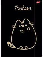 Teczka A4 z gumką Pusheen Gold - tantis.pl