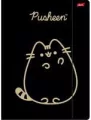 Teczka A4 z gumką Pusheen Gold - tantis.pl