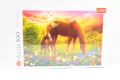 Konie na łące. Puzzle 500 elementów - tantis.pl