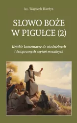 Słowo Boże w pigułce T.2