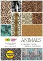 Blok z motywami Animals Wild A4/16K HAPPY COLOR - tantis.pl