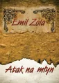 Atak na młyn audiobook - tantis.pl