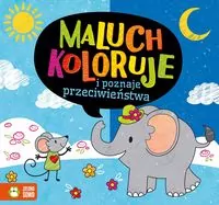 Maluch koloruje i poznaje przeciwieństwa - tantis.pl