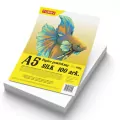 Papier A5 powlekany kredowany 100 ark. 350g - tantis.pl