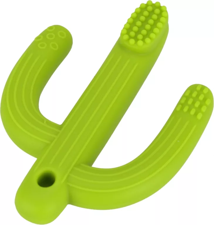 Gryzak dla dzieci szczoteczka. Kaktus - tantis.pl