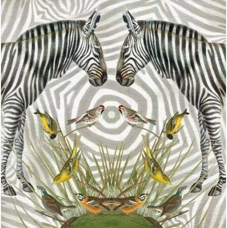Karnet kwadrat z kopertą Zebra - tantis.pl
