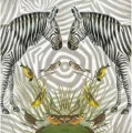 Karnet kwadrat z kopertą Zebra - tantis.pl