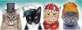 Puzzle 500 Panorama. Puszysta ekipa - tantis.pl