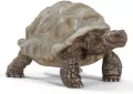 Żółw olbrzymi Wild Life 14824 - tantis.pl