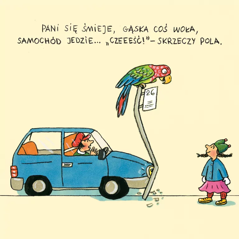 Pola z ulicy Czereśniowej - tantis.pl