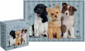 Puzzle 250 Puppy Sign 3 - tantis.pl