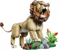 LEGO® Dzikie zwierzęta: Dumny lew 31386 - tantis.pl