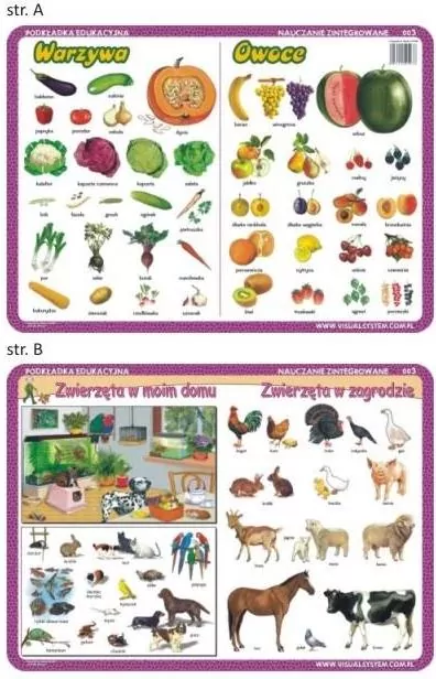 Podkładka edukacyjna  Warzywa, owoce, zwierzęta w moim domu i zagrodzie - tantis.pl