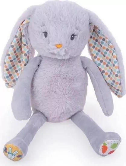 Dumel Discovery. Edukacyjny Królik Franio - tantis.pl