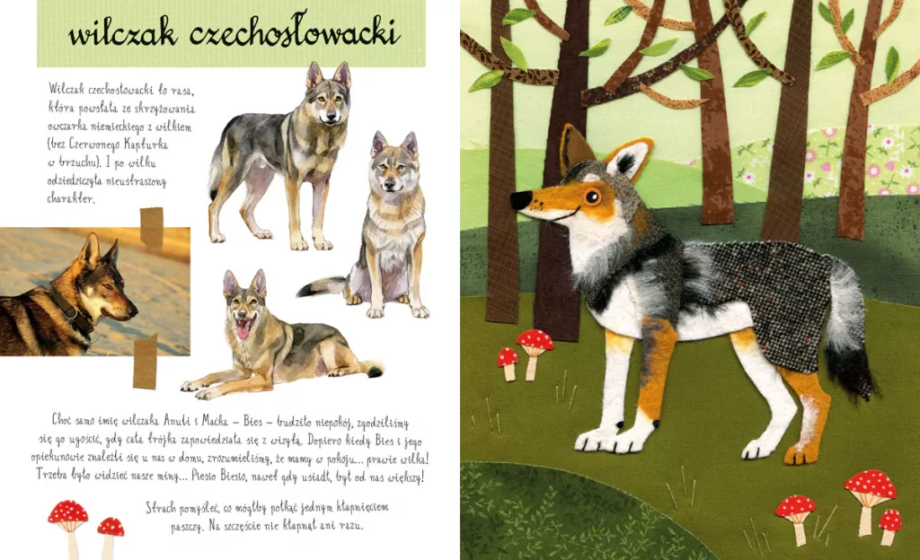 Mały atlas psów (i szczeniaków) Ewy i Pawła Pawlaków - tantis.pl