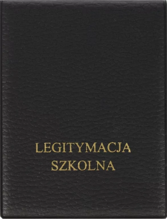 Okładka na dokumenty ucznia pionowa Dolaro, mix - tantis.pl