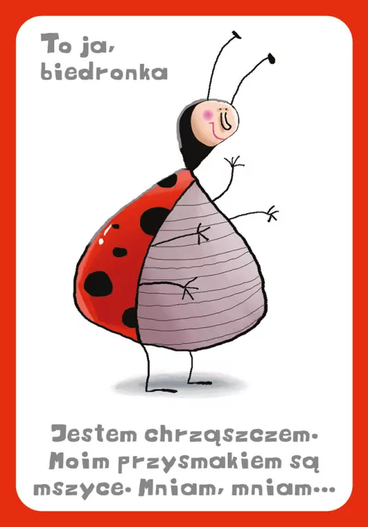 Memory ze zwierzętami - tantis.pl