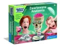 Zwariowana Anatomia. Naukowa zabawa - tantis.pl