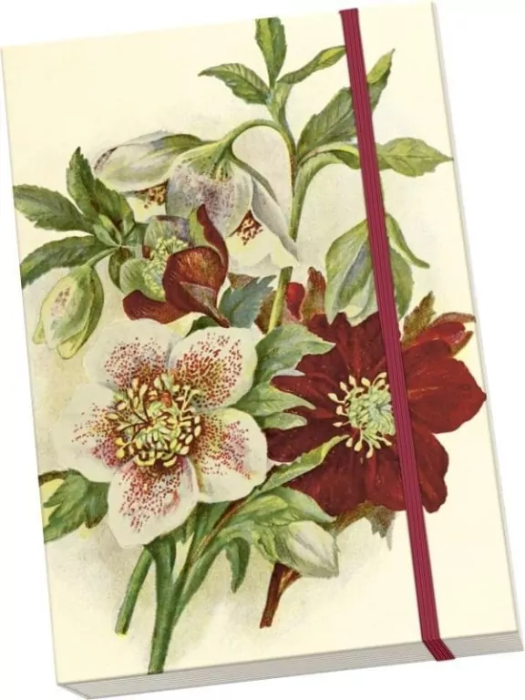 Notatnik ozdobny A5 STNOTE 141 Ciemiernik - tantis.pl