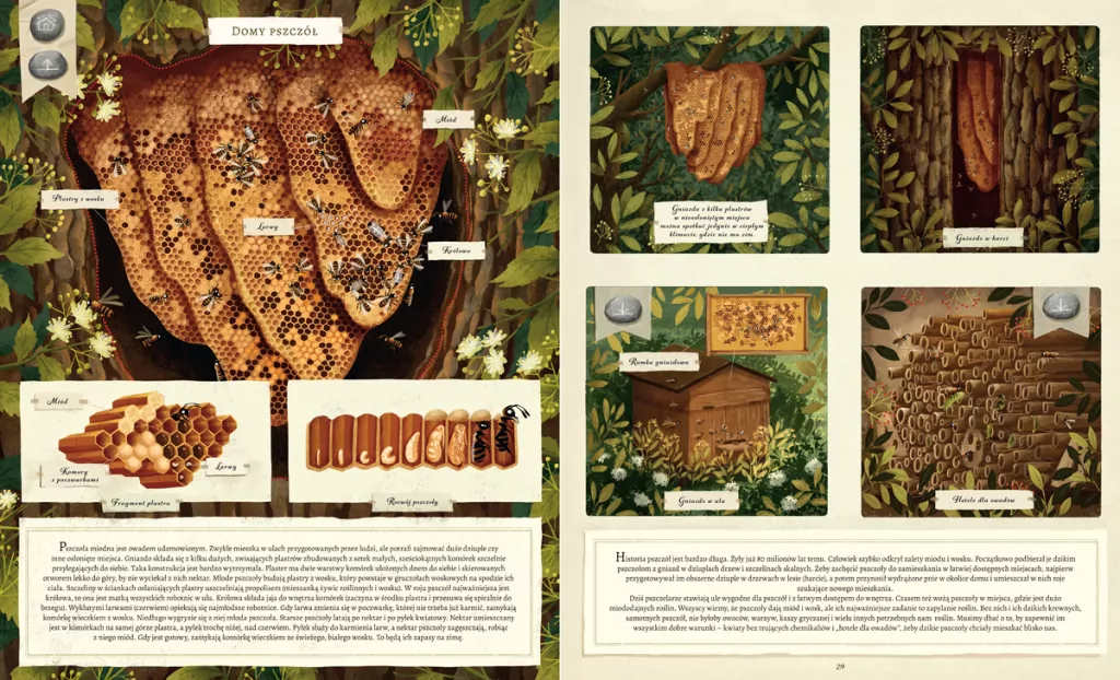 Co budują zwerzęta? - tantis.pl