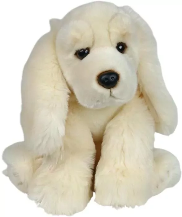 Spaniel jasny - tantis.pl