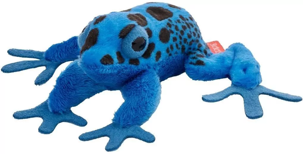 Żaba drzewołaz malarski niebieski 10cm - tantis.pl