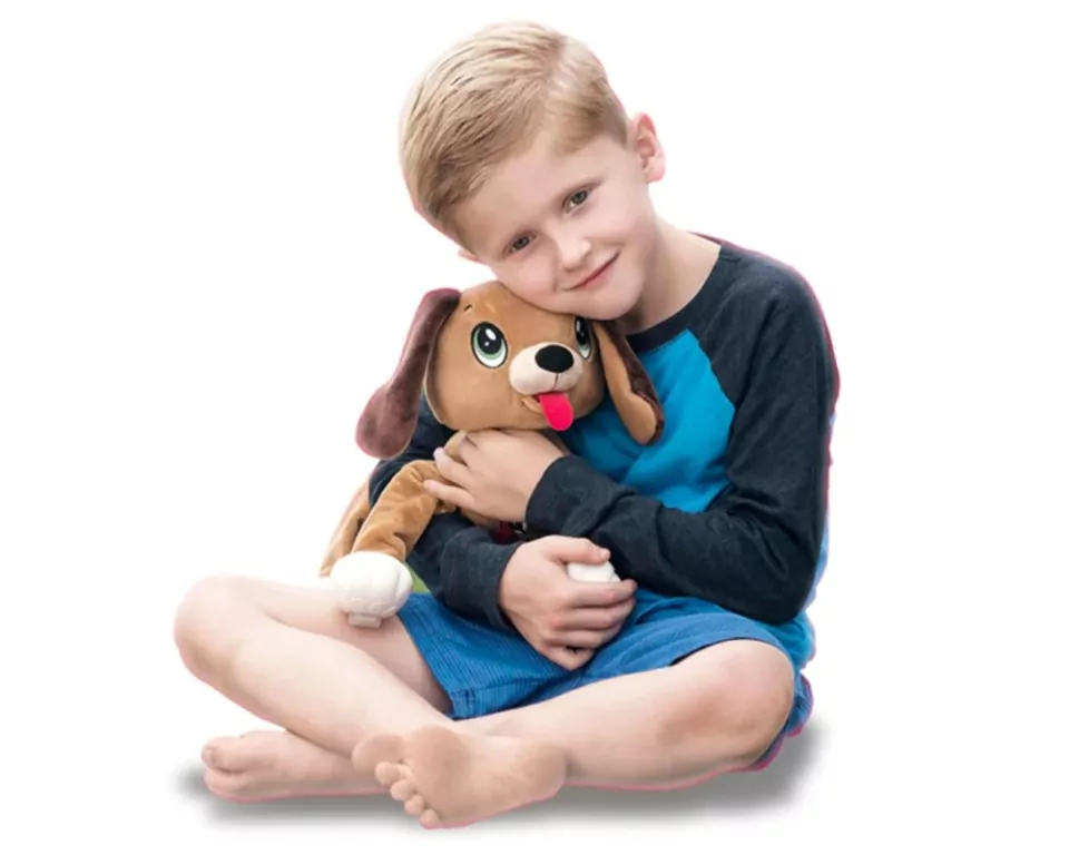 Boogie - Psi rozrabiaka Kundelek - tantis.pl