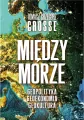 Międzymorze. Geopolityka, Geoekonomia, Geokultura - tantis.pl