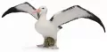 Albatros wędrowny L - tantis.pl