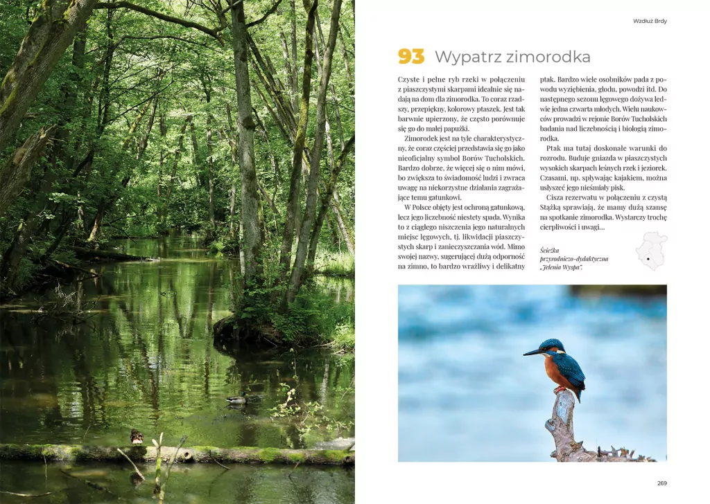Kaszuby i Bory Tucholskie. Bucket list - tantis.pl